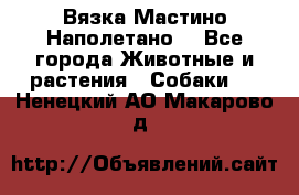 Вязка Мастино Наполетано  - Все города Животные и растения » Собаки   . Ненецкий АО,Макарово д.